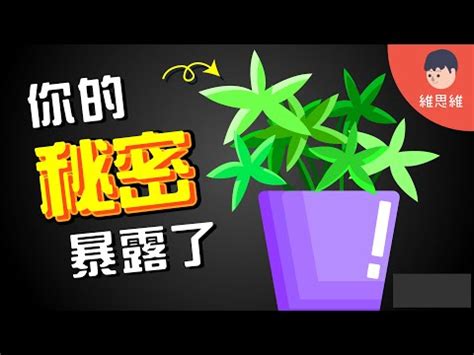 植物與人的關係|生物共同體：土地、動物與人的相互依存 